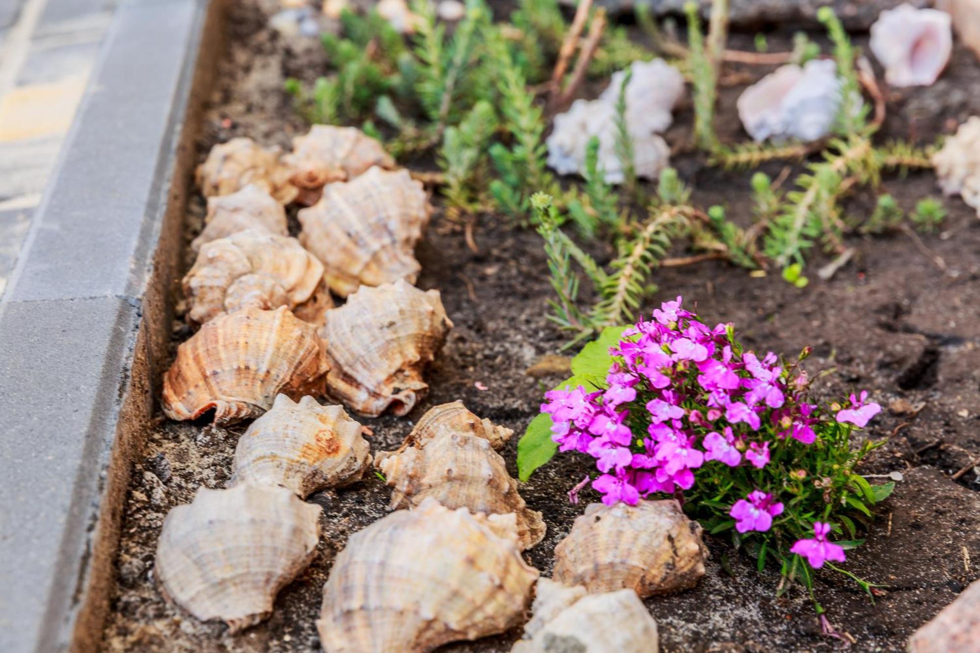 Villa Shell Zatoka Ngoại thất bức ảnh